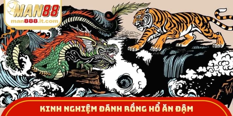 Kinh nghiệm đánh rồng hổ ăn đậm