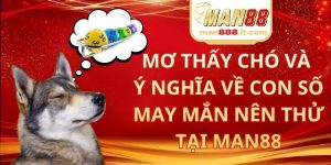 Mơ Thấy Chó