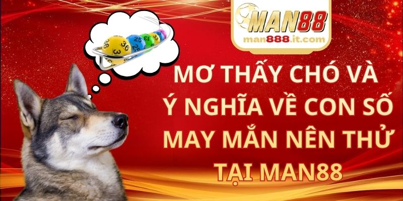 Mơ Thấy Chó