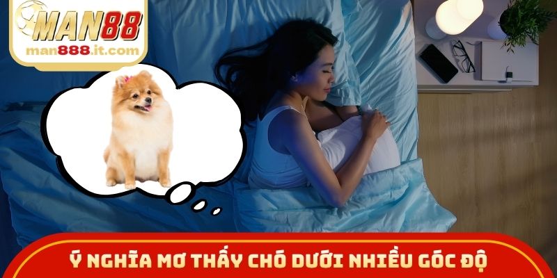 Ý nghĩa mơ thấy chó dưới nhiều góc độ